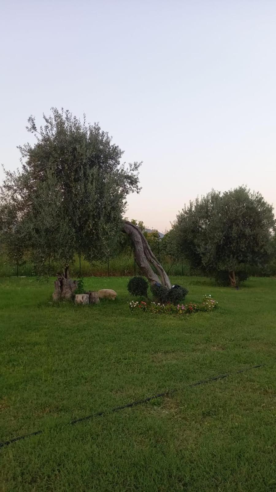 I Secolari Di Giulia Avola Exterior foto